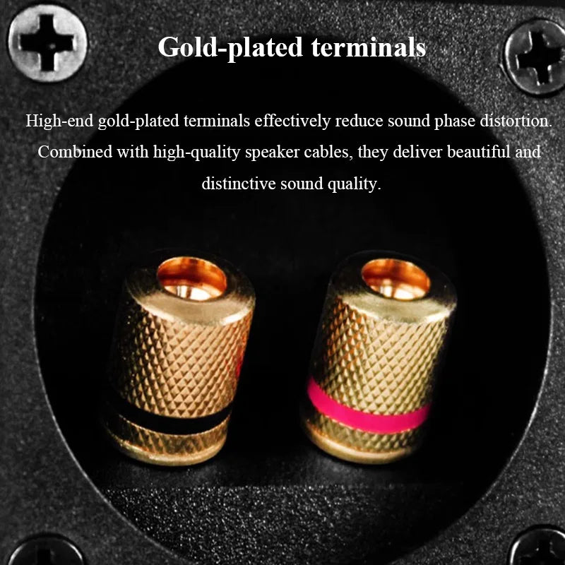 Altavoz pasivo de estantería HIFI de 5 pulgadas, 60W de potencia, estéreo de 2 vías, altavoz pasivo para audiófilos en casa, laca de Piano, Tweeter de 1 pulgada