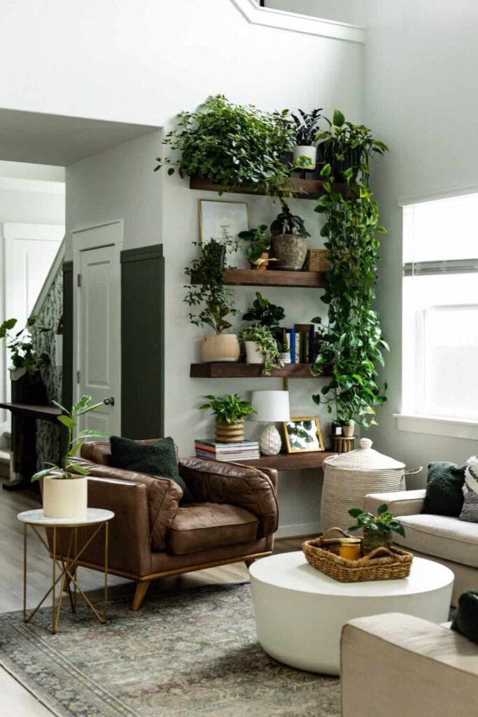 Decoracion Plantas